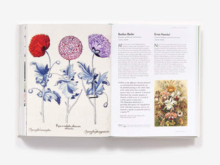 The Botanical Bible