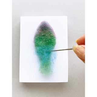 Succulent Needle Felting Kit