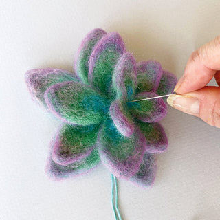 Succulent Needle Felting Kit