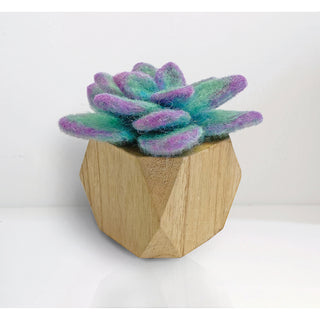 Succulent Needle Felting Kit