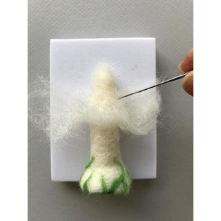 Mushroom Needle Felting Kit