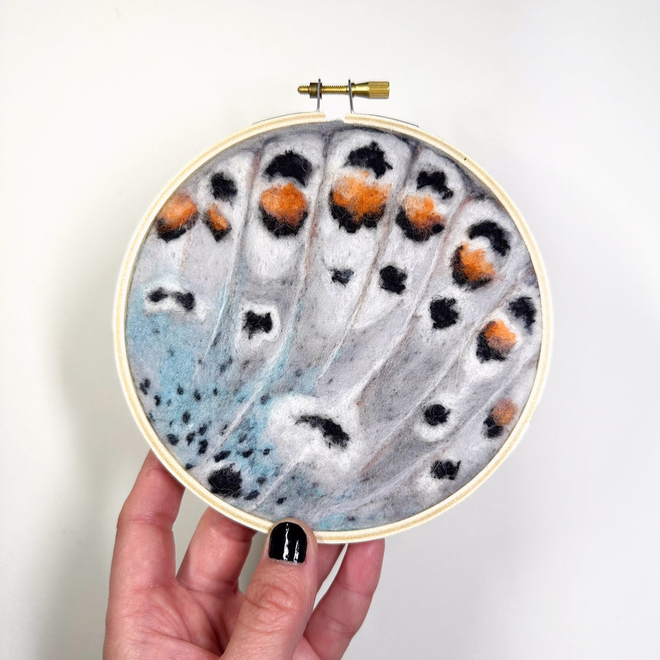 April Abstract Nature Patterns: Butterfly Wing Study Needle Felting Workshop with Dani Ives