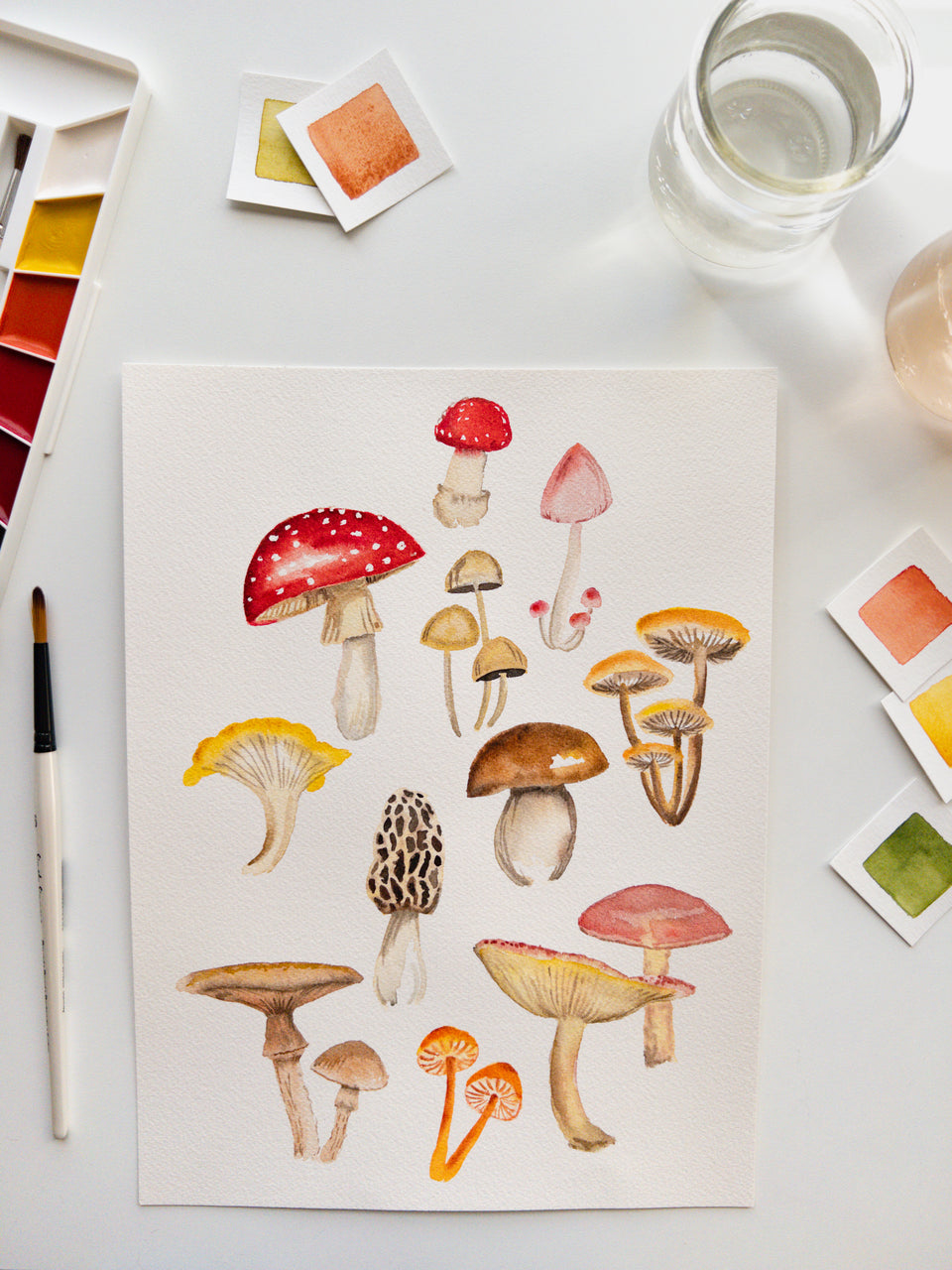 Watercolor Mushrooms with Tram Colwin