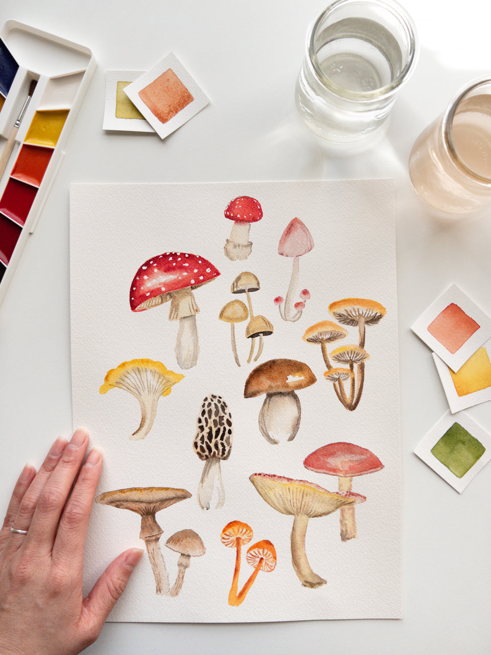 Watercolor Mushrooms with Tram Colwin
