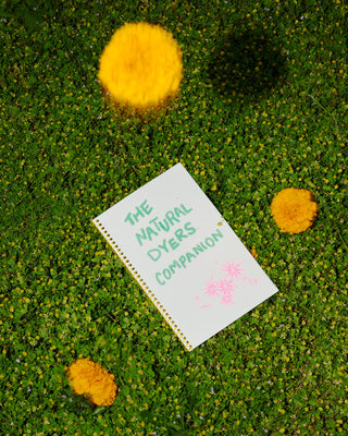 The Natural Dyers Companion Zine by Olivia Clanton & Vic Barquin