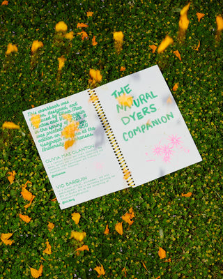 The Natural Dyers Companion Zine by Olivia Clanton & Vic Barquin