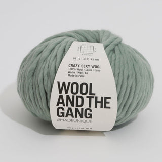 Crazy Sexy Wool