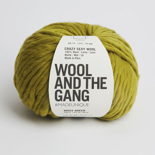 Crazy Sexy Wool