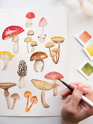 October Watercolor Mushrooms with Tram Colwin